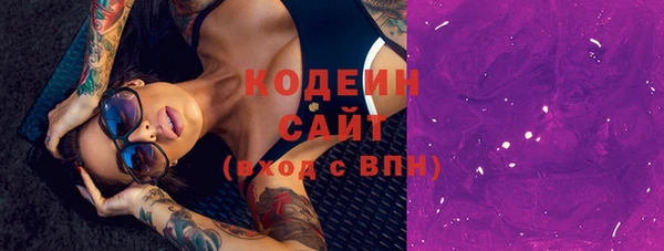 гашик Новодвинск