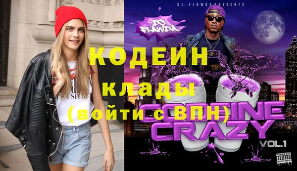 ГАЛЛЮЦИНОГЕННЫЕ ГРИБЫ Новозыбков
