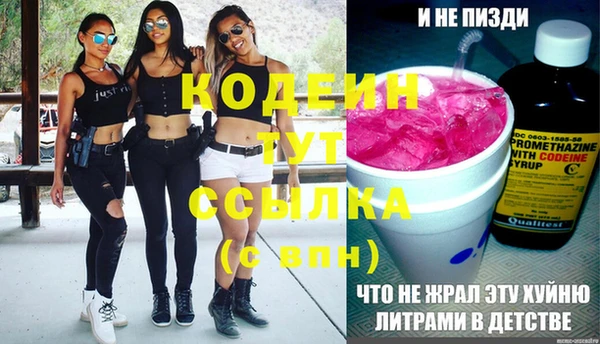 гашик Новодвинск