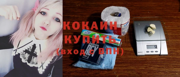 гашик Новодвинск