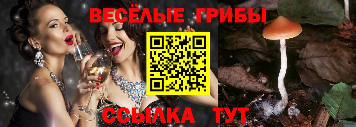 Псилоцибиновые грибы Magic Shrooms  Невинномысск 