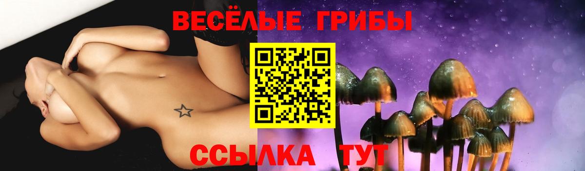 Невинномысск  Псилоцибиновые грибы Psilocybe  Вход с VPN 